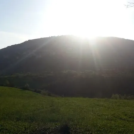 La Mita Giuliano di Roma