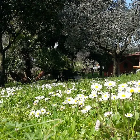 La Mita *